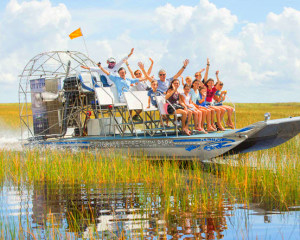 Everglades Airboat Tour, Fort Lauderdale - 40 Minutes